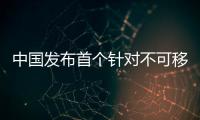 中国发布首个针对不可移动文物预防性保护的规范性文件